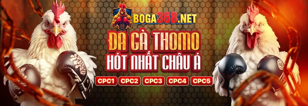 Đá Gà Trực Tuyến u888vip0
